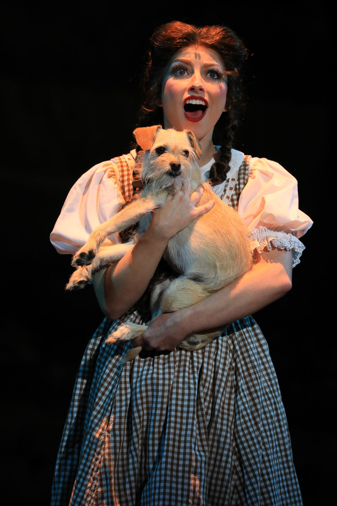 Oz Dorothy